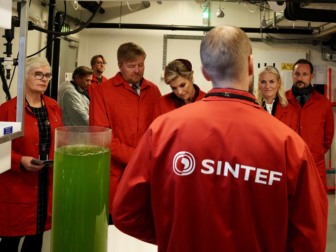På Norsk senter for planktonteknologis laboratorium fikk det kongelige følget høre mer om hvordan alger og tang kan dyrkes som mat for dyr og mennesker. Foto: Simen Løvberg Sund, Det kongelige hoff